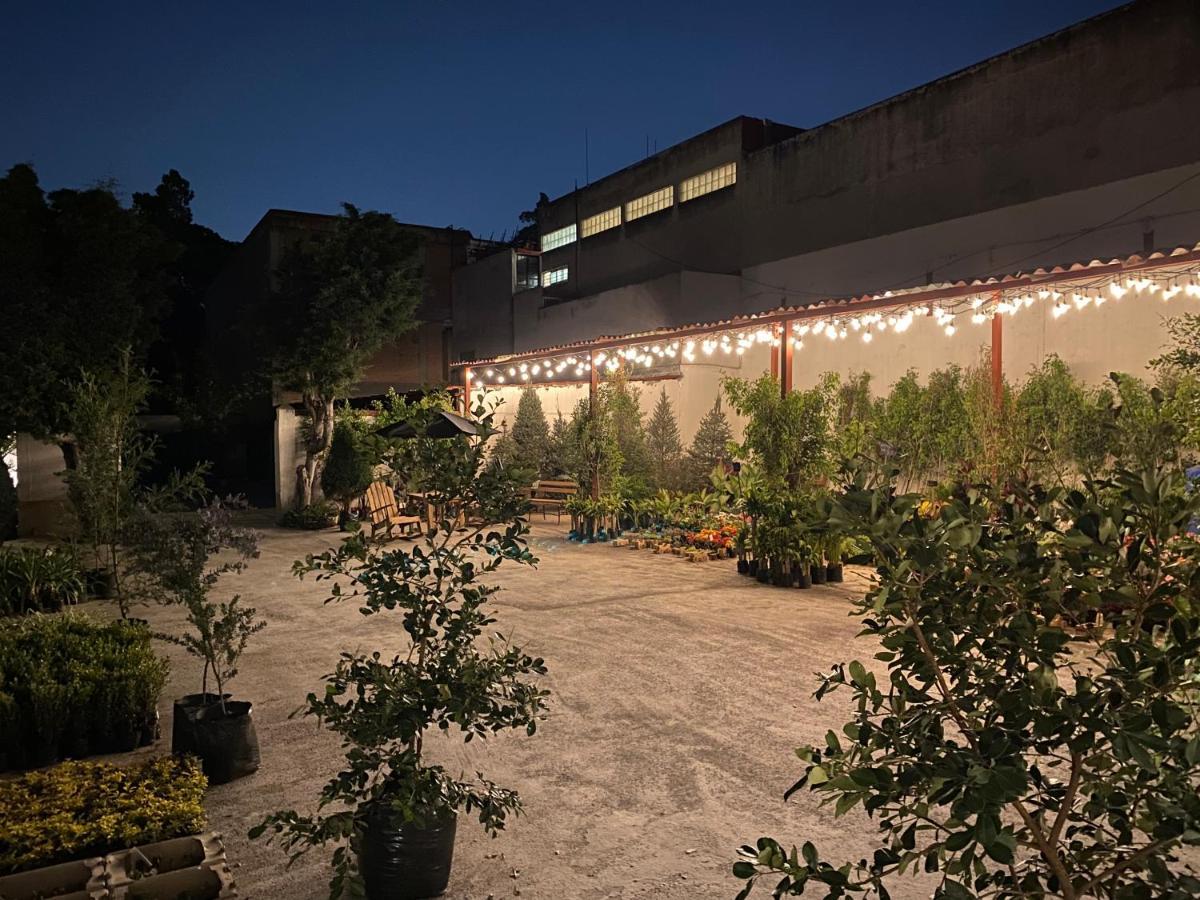 Hotel Express Quinta Soledad 墨西哥城 外观 照片