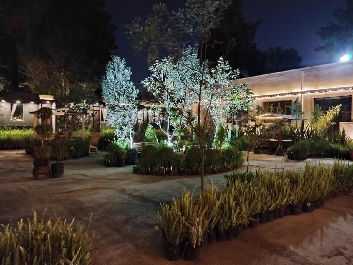 Hotel Express Quinta Soledad 墨西哥城 外观 照片