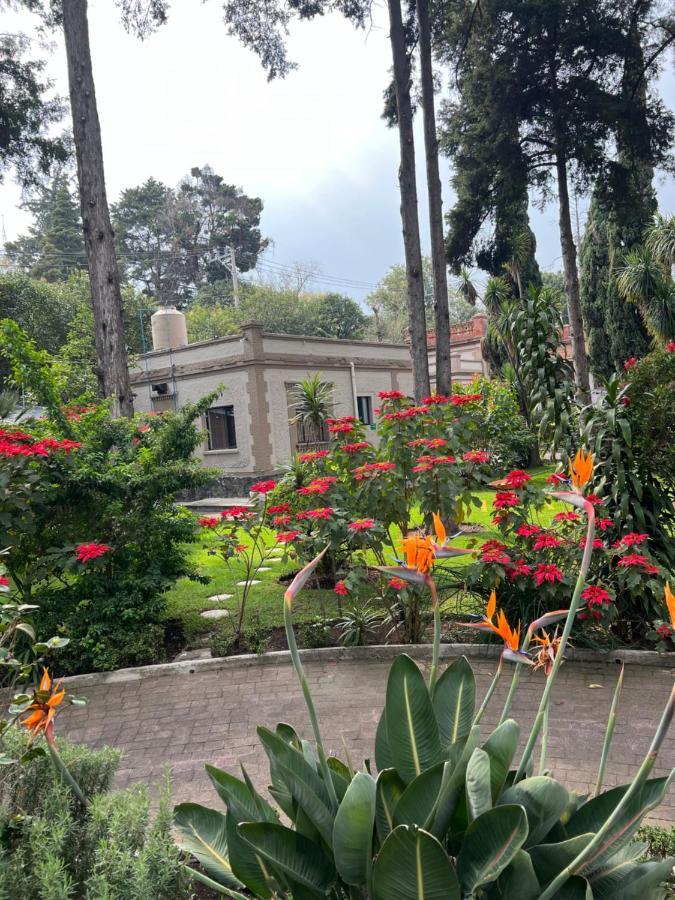 Hotel Express Quinta Soledad 墨西哥城 外观 照片