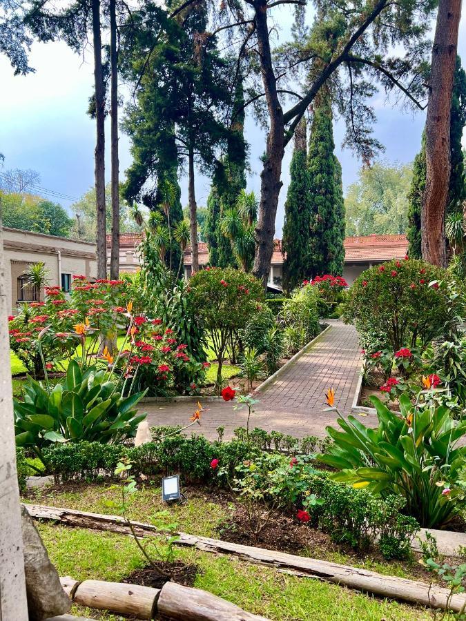 Hotel Express Quinta Soledad 墨西哥城 外观 照片